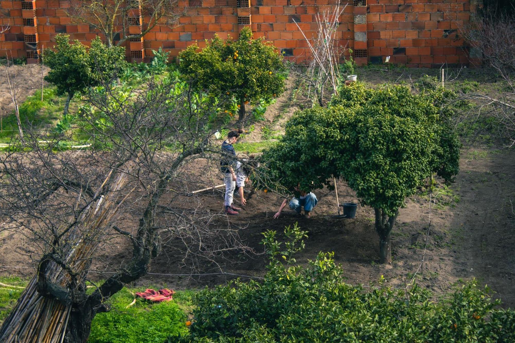 Montijo Garden - Private Rooms エクステリア 写真