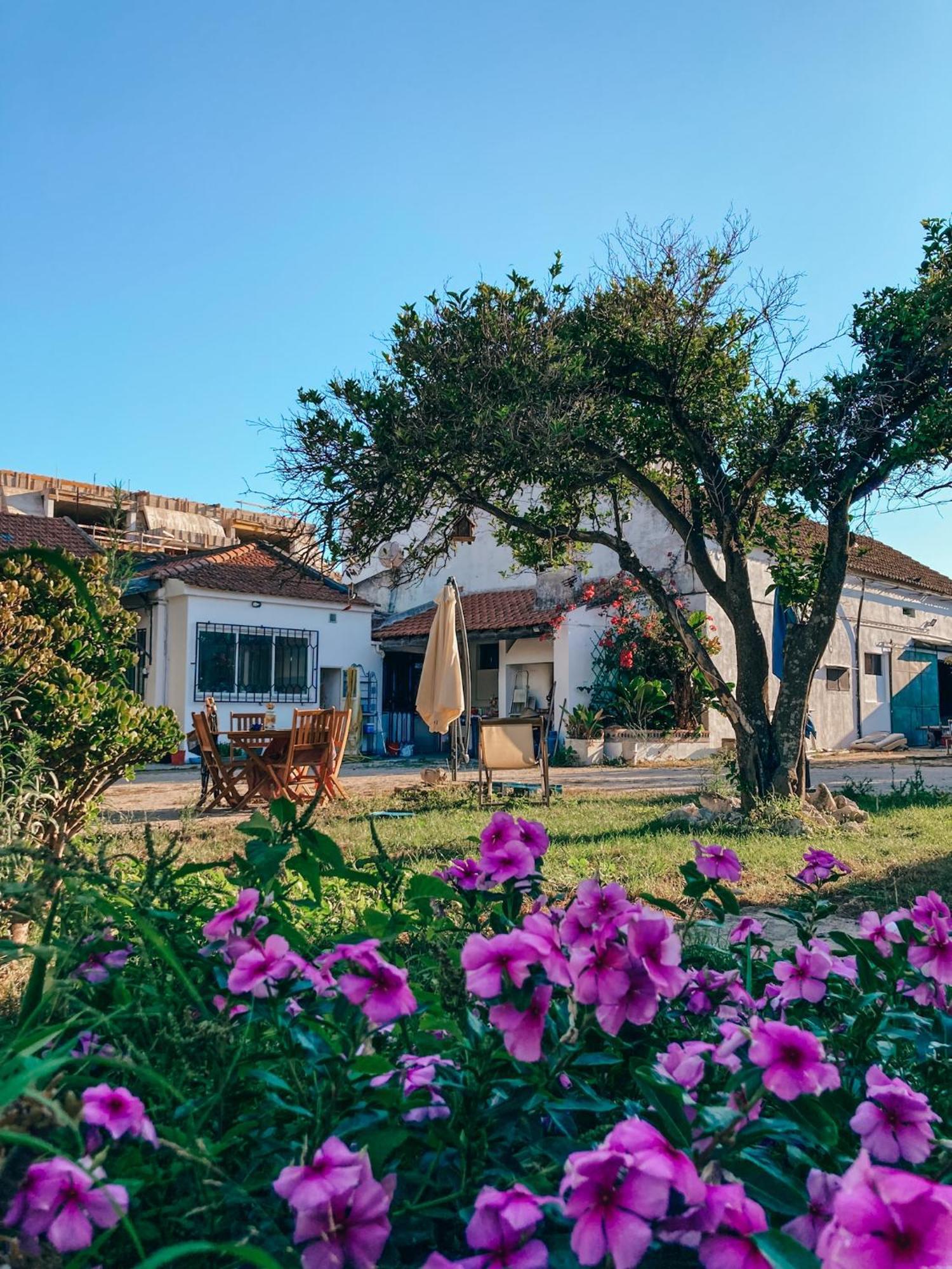 Montijo Garden - Private Rooms エクステリア 写真